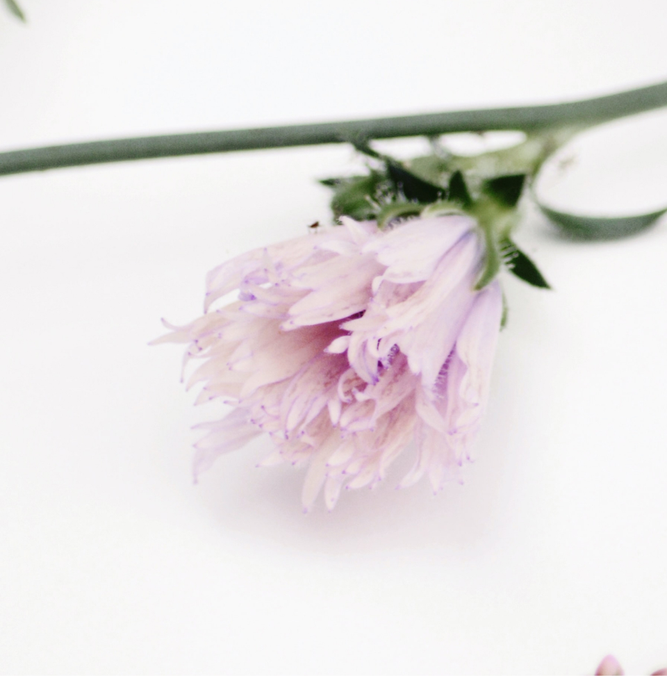 divascreationbeauty.com